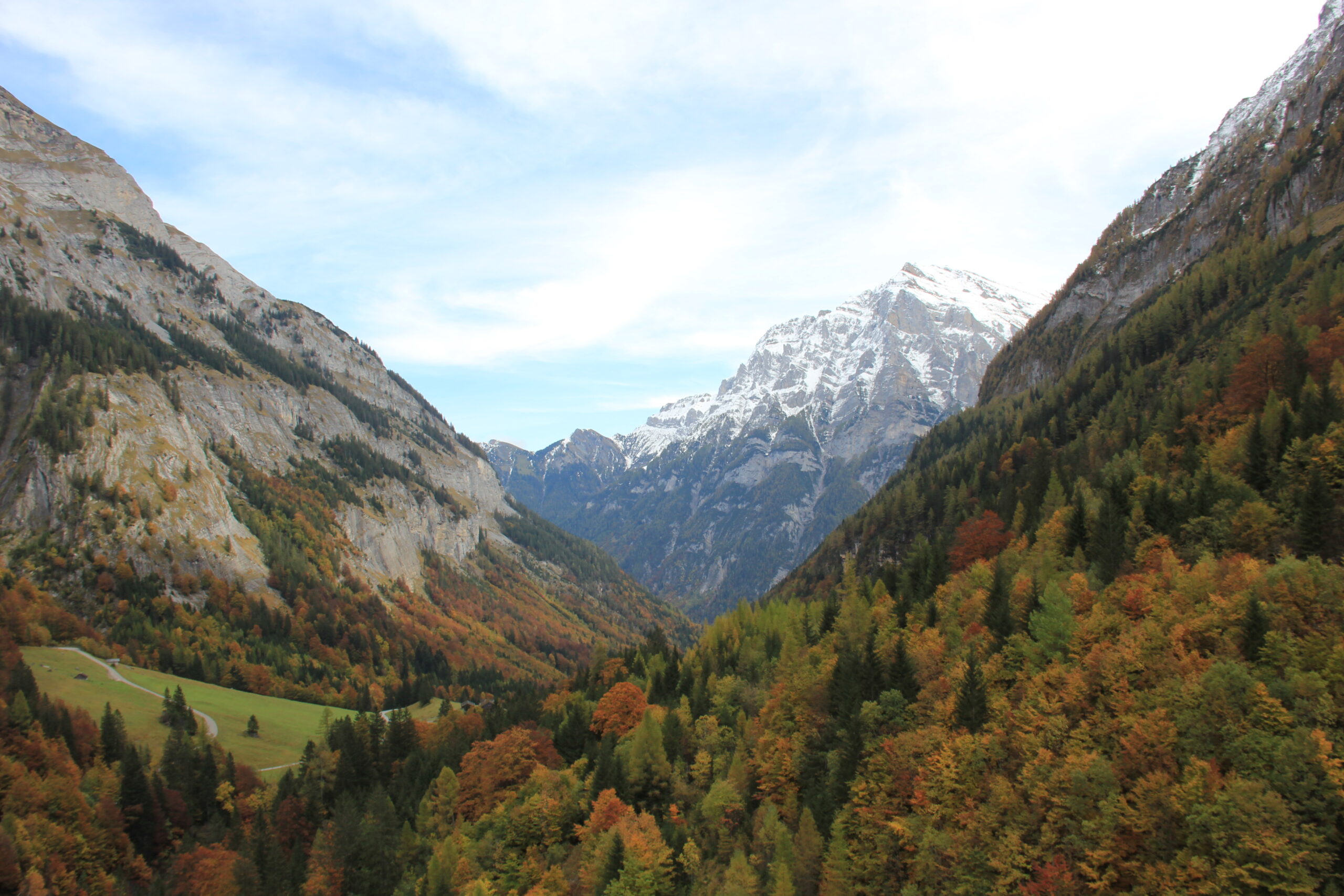 Etude d’impact « chemin de transhumance »
