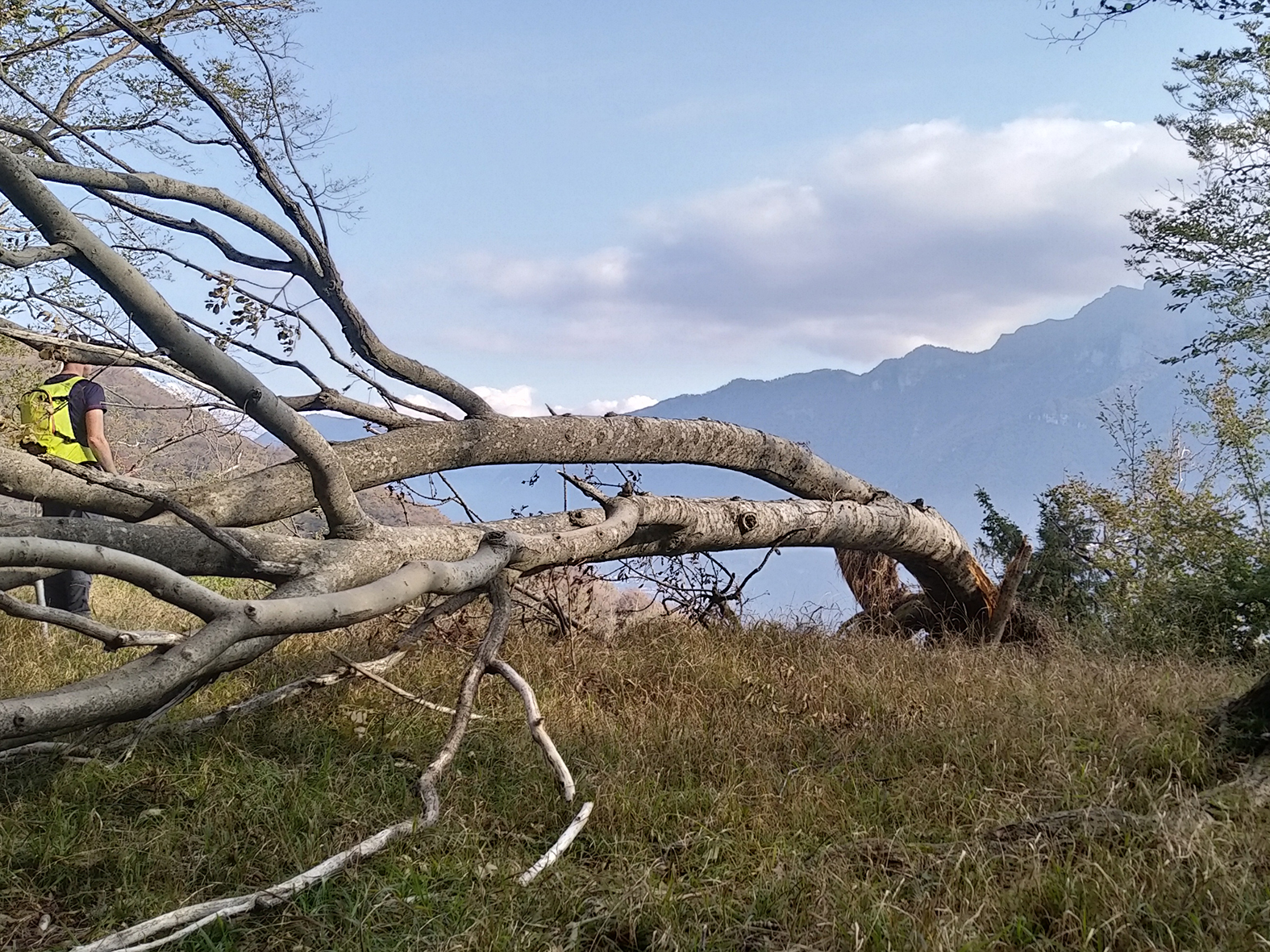 Visite au Monte San Giorgio