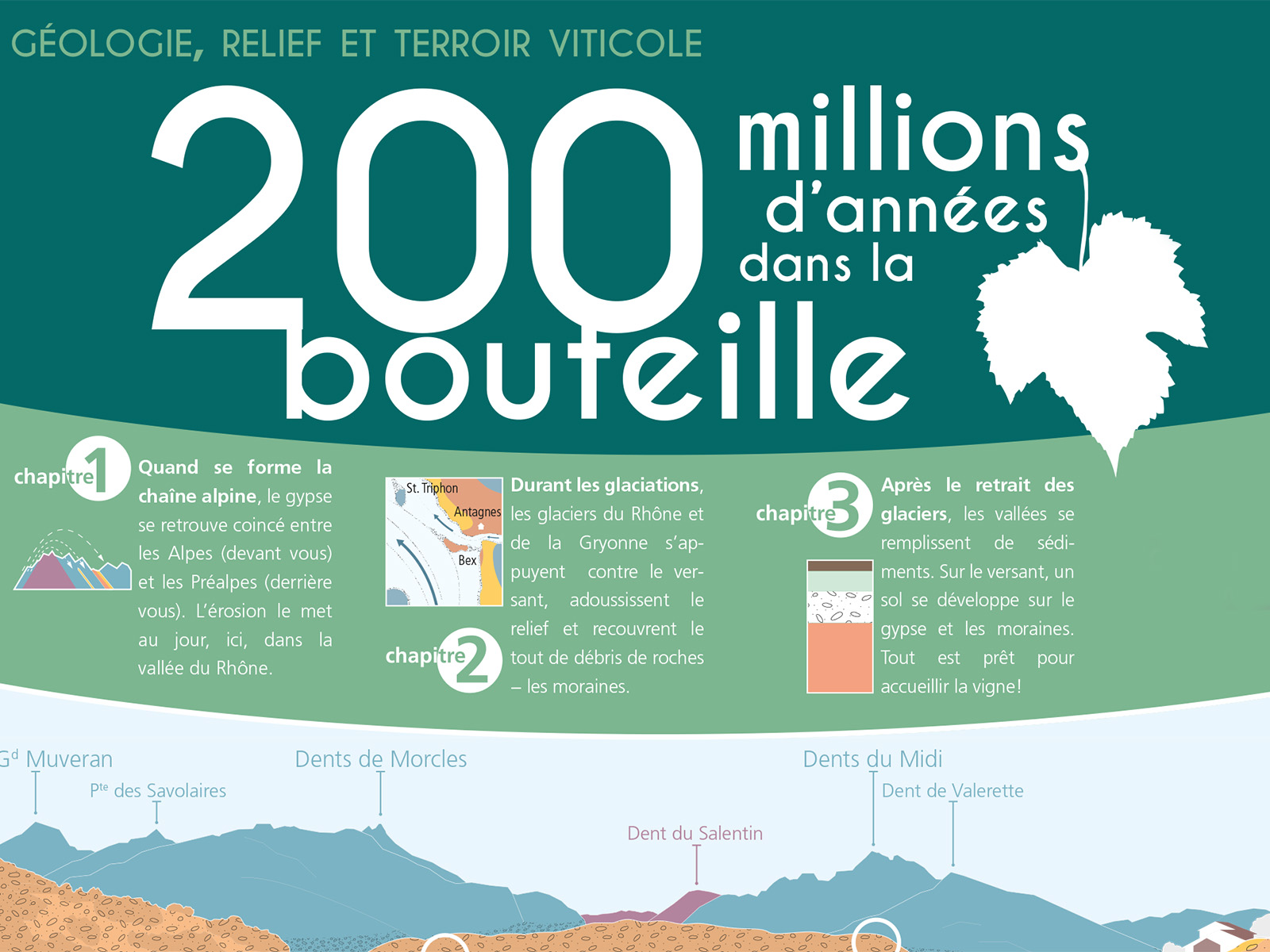 Valorisation du terroir viticole
