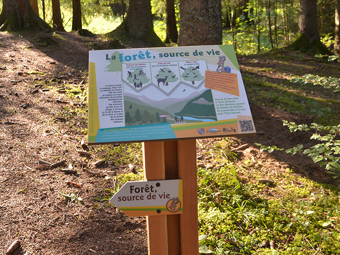 Sentier Forêt source de vie