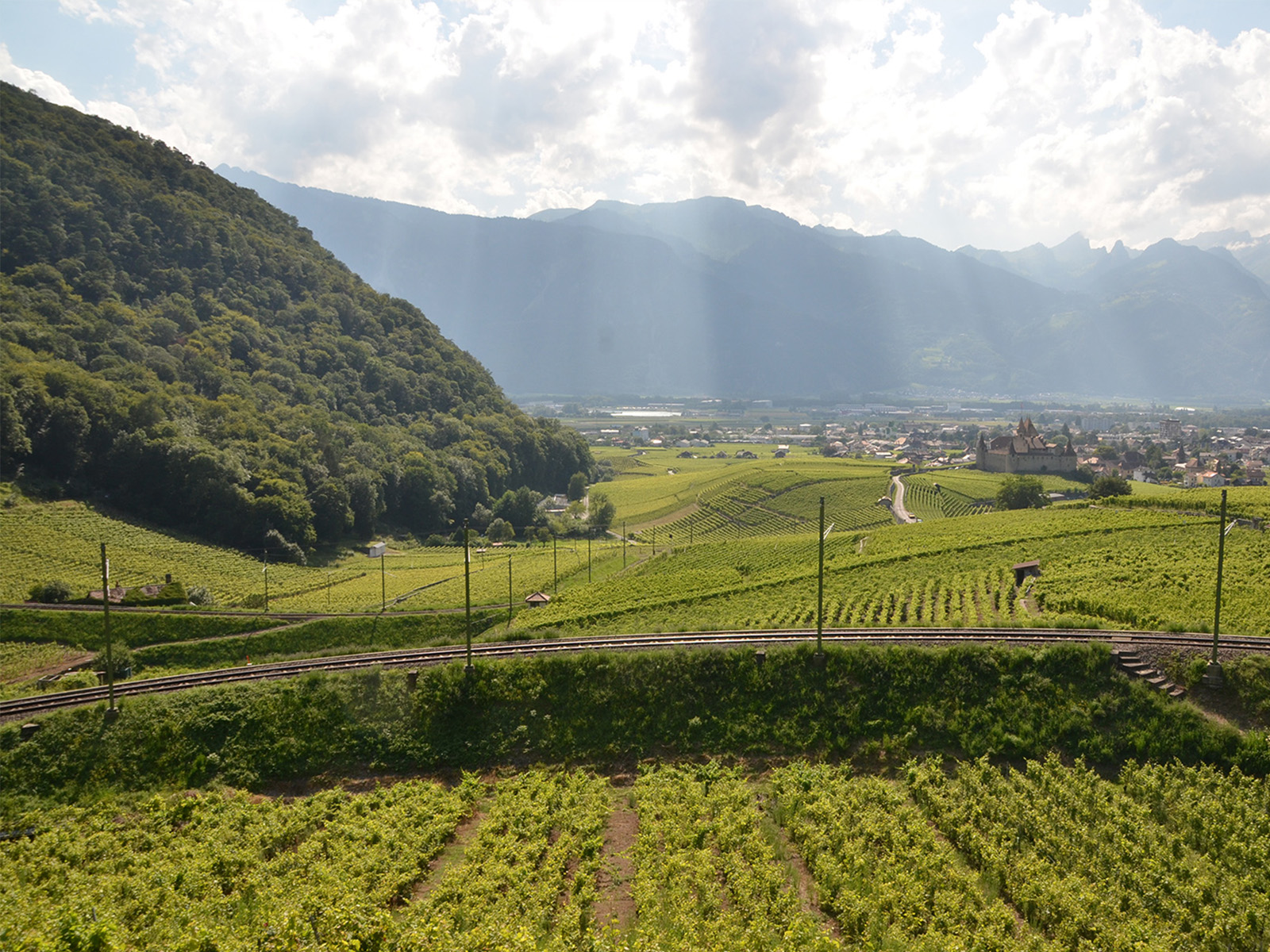 Des glaciers à la vigne: enquête sur un géotope à Aigle